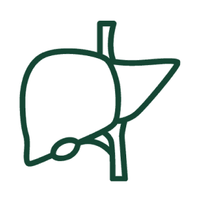 Organ image
